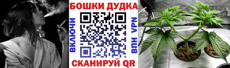 Наркошоп купить Бошки Шишки  МЕФ  Alpha-PVP  ГАШИШ  Когалым