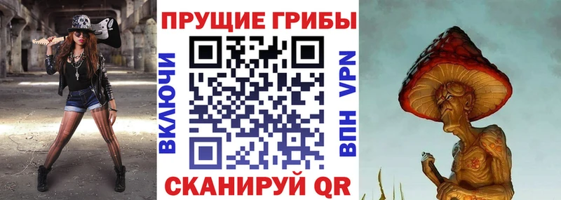 Купить  Когалым  Псилоцибиновые грибы ЛСД 